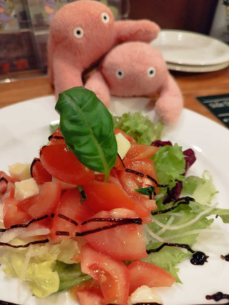 ひなこさんの十勝川温泉 観月苑のサ活写真