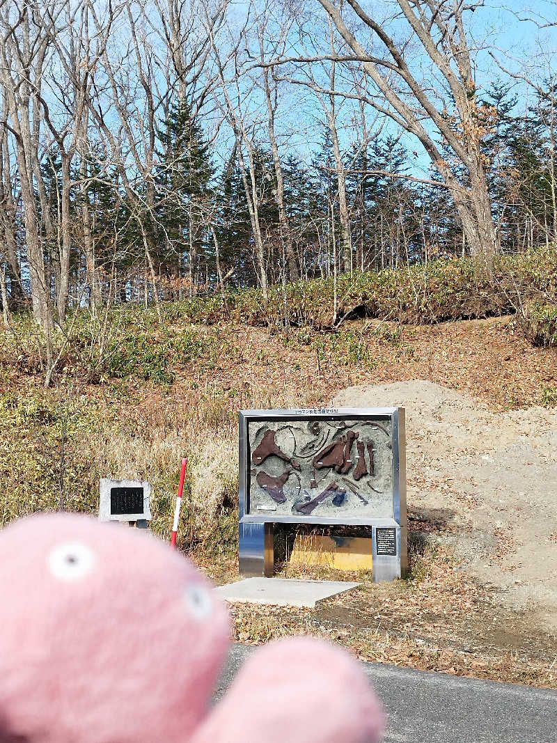 ひなこさんの晩成温泉のサ活写真