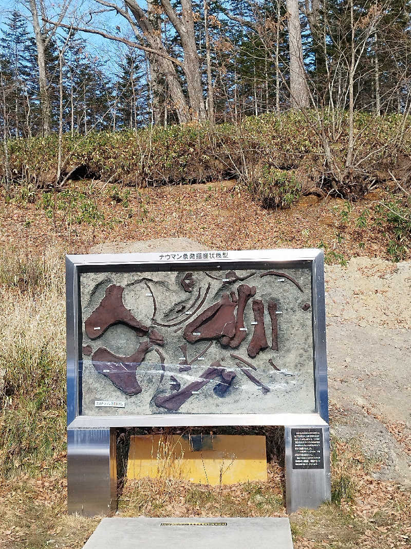 ひなこさんの晩成温泉のサ活写真