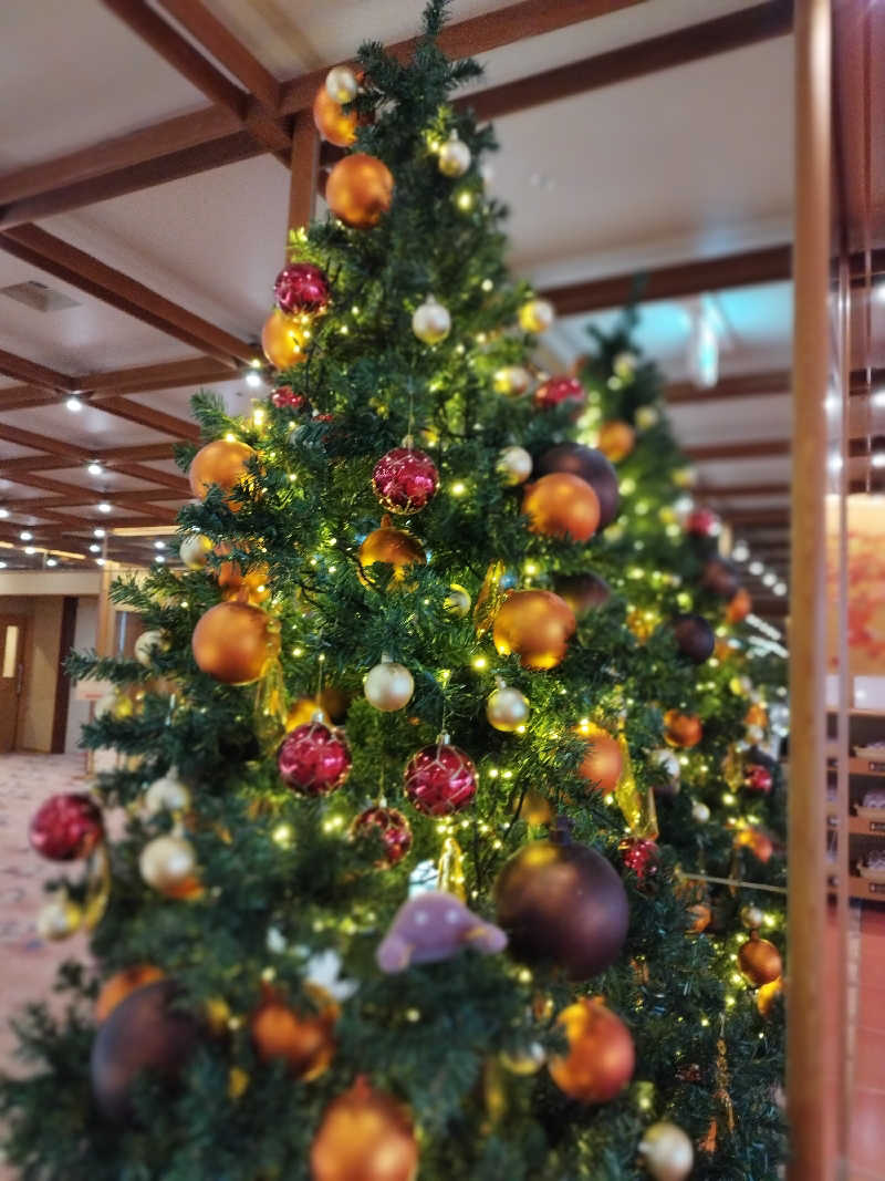 ひなこさんの定山渓 鹿の湯のサ活写真