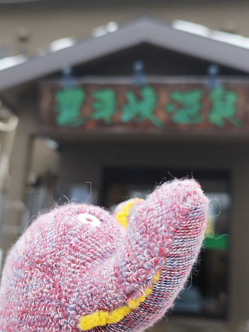 ひなこさんの定山渓 鹿の湯のサ活写真