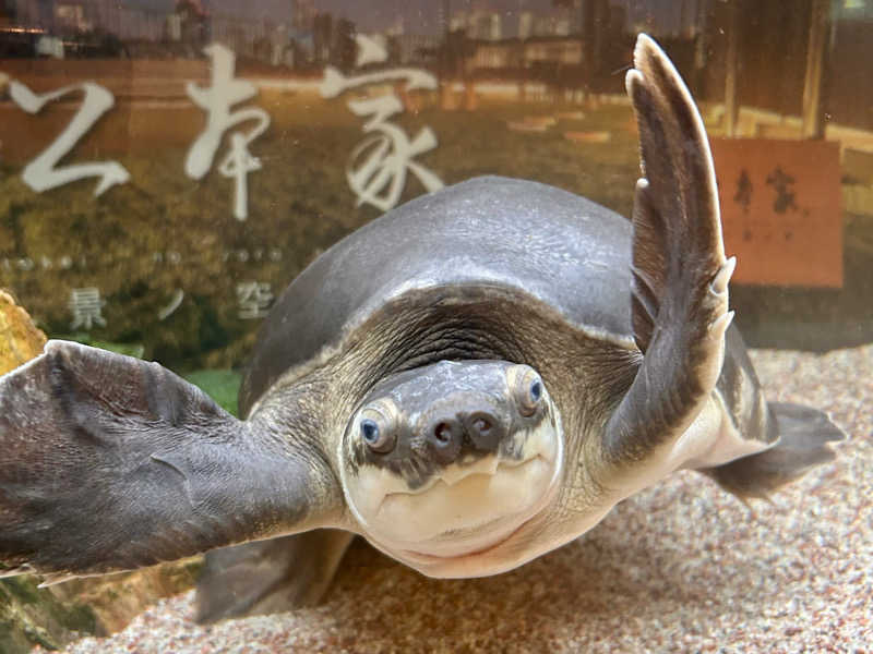 どねるさんの松本湯のサ活写真