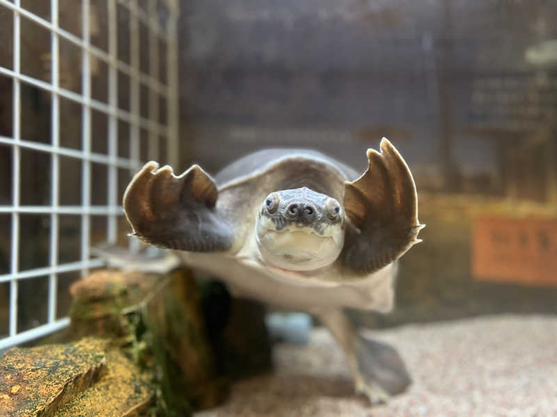 どねるさんの松本湯のサ活写真