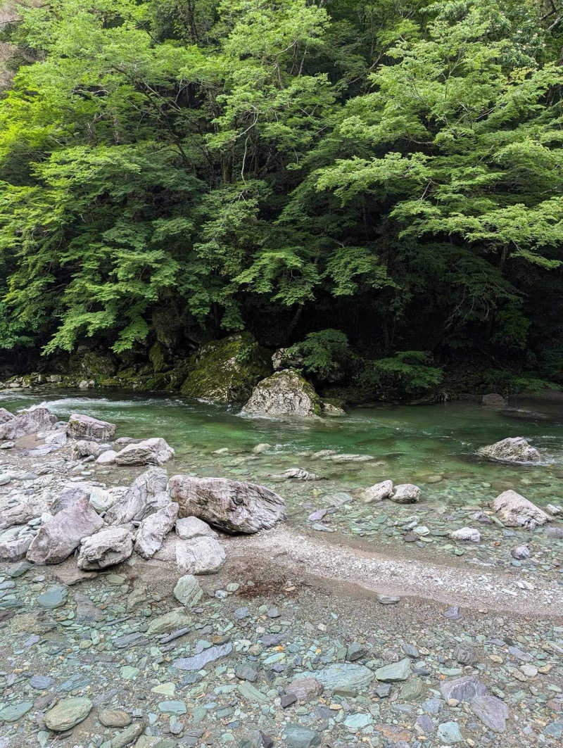 zibunさんのプライベートサウナ fu-gaのサ活写真