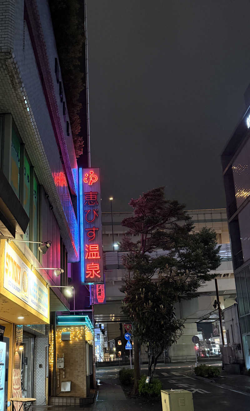 ヨコヨコさんの恵びす温泉のサ活写真