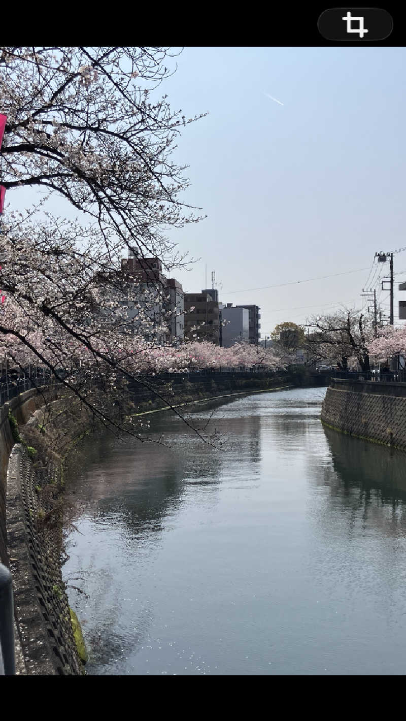 タカさんさんのみうら湯 弘明寺店のサ活写真