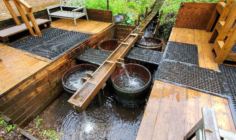 すがや君さんのThe Saunaのサ活写真