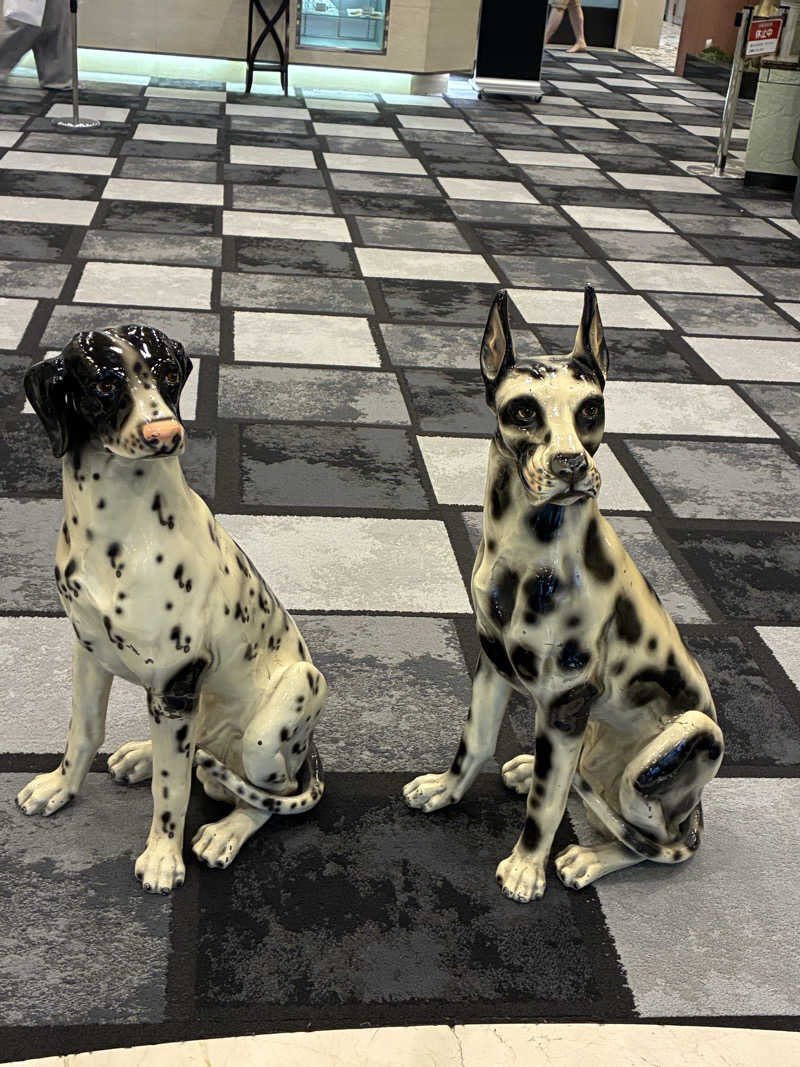 もかさんのサウナ&カプセル フジのサ活写真