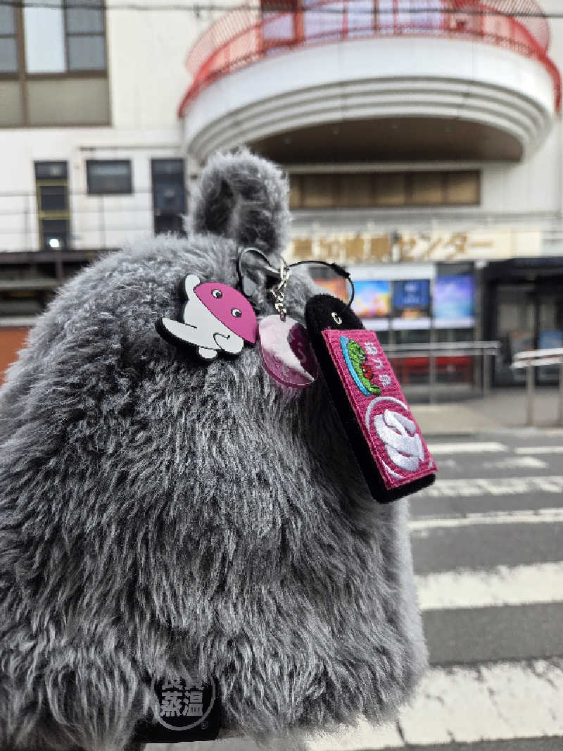 LEMON307さんの湯乃泉 草加健康センターのサ活写真