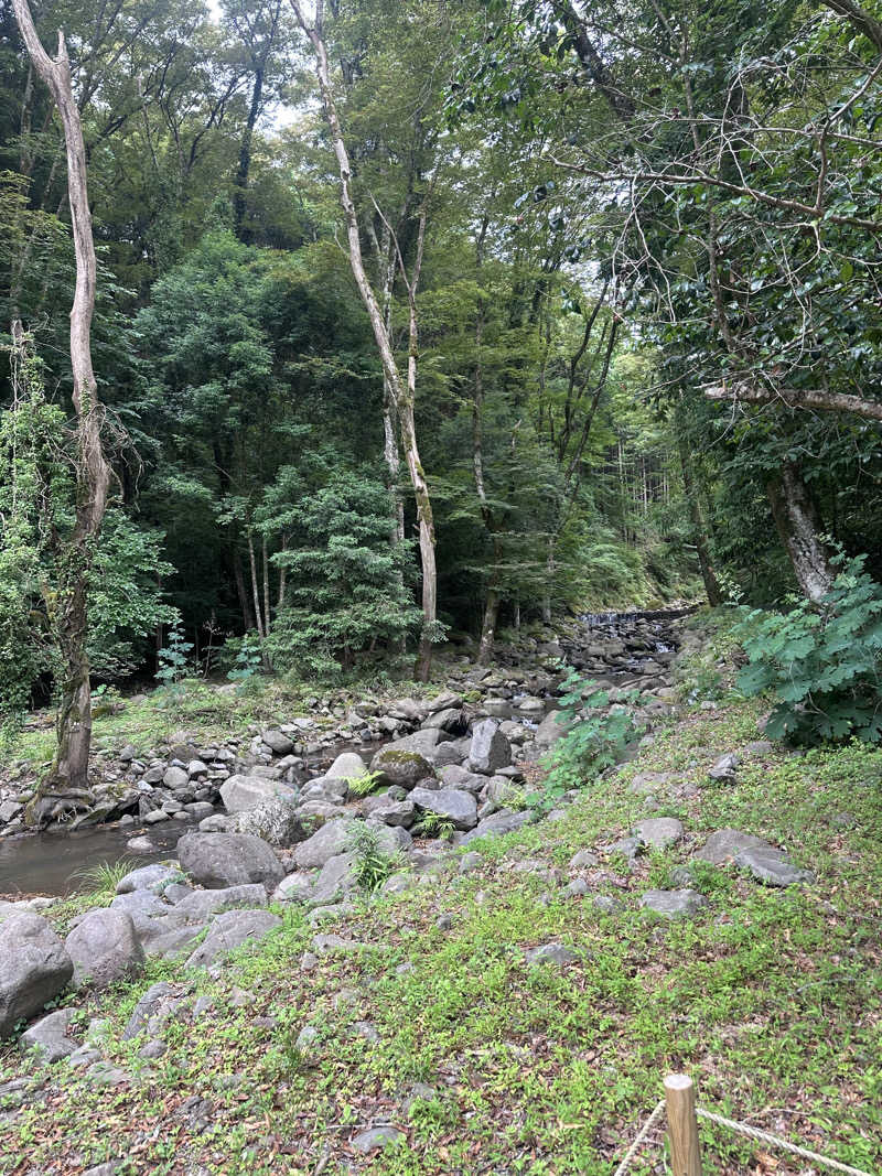 kiriayaさんのモダン湯治 おんりーゆーのサ活写真