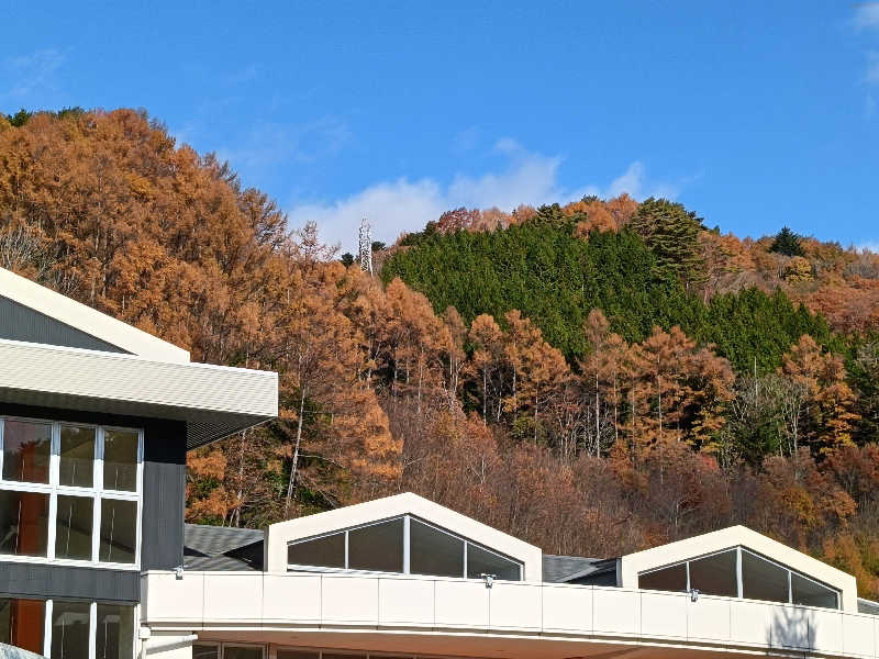 砂時計さんの信州平谷温泉 ひまわりの湯のサ活写真