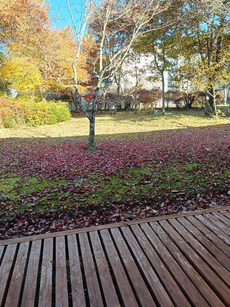 砂時計さんの信州平谷温泉 ひまわりの湯のサ活写真