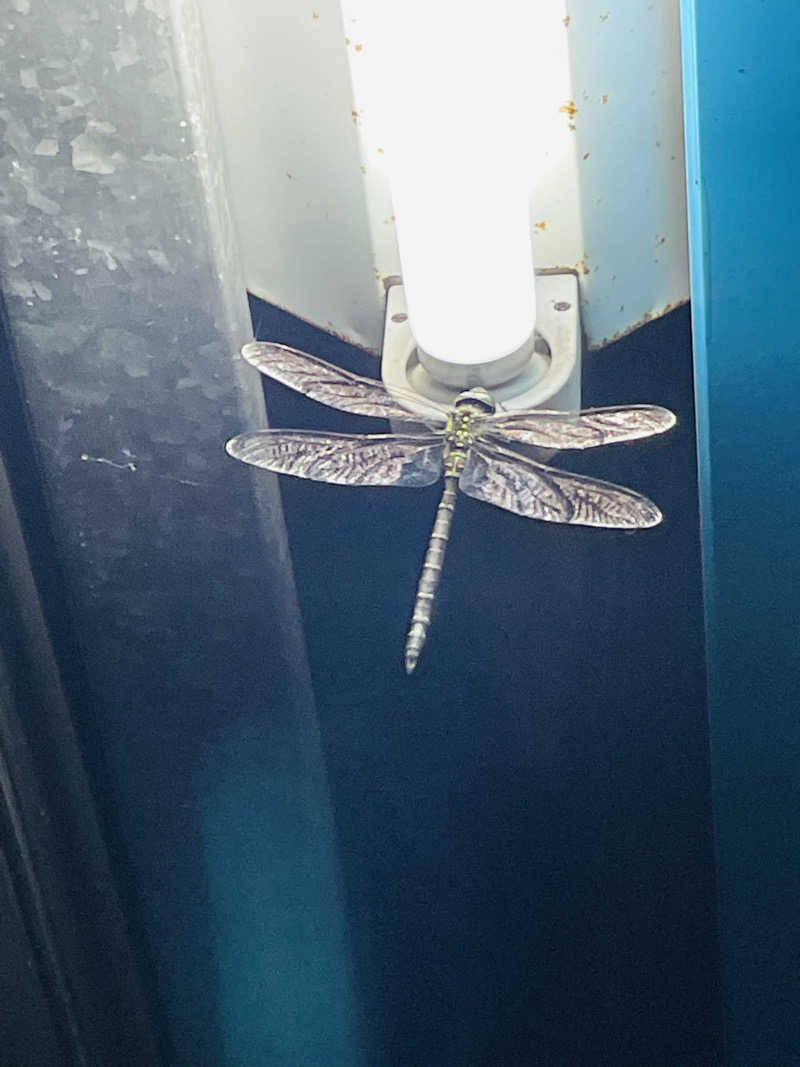 おじゅんさんの上高地西糸屋山荘のサ活写真