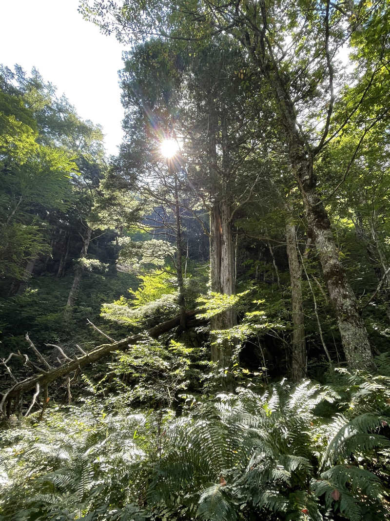 おじゅんさんの上高地西糸屋山荘のサ活写真