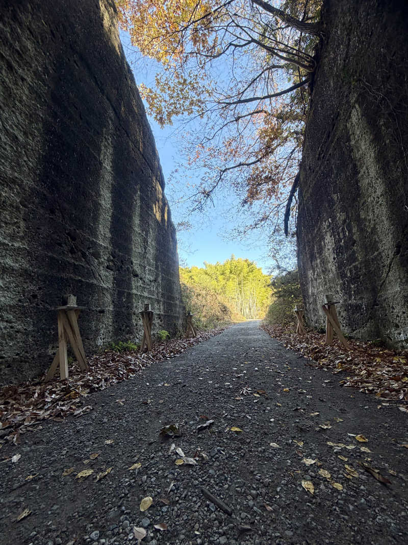 yu1roさんの大谷元気炉 六号基 |AZUMAYAのサ活写真