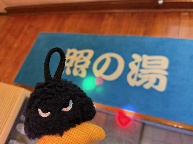 NoRiさんの照の湯のサ活写真
