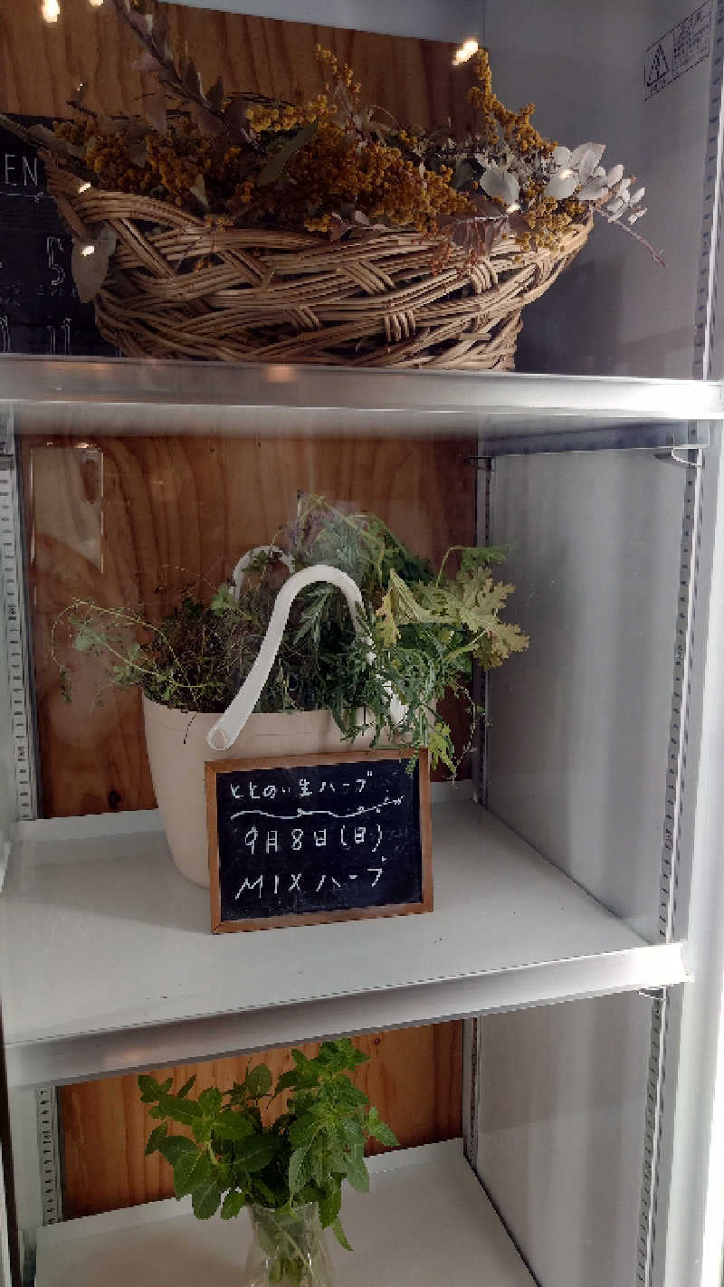 こじかさんの各務原 恵みの湯のサ活写真