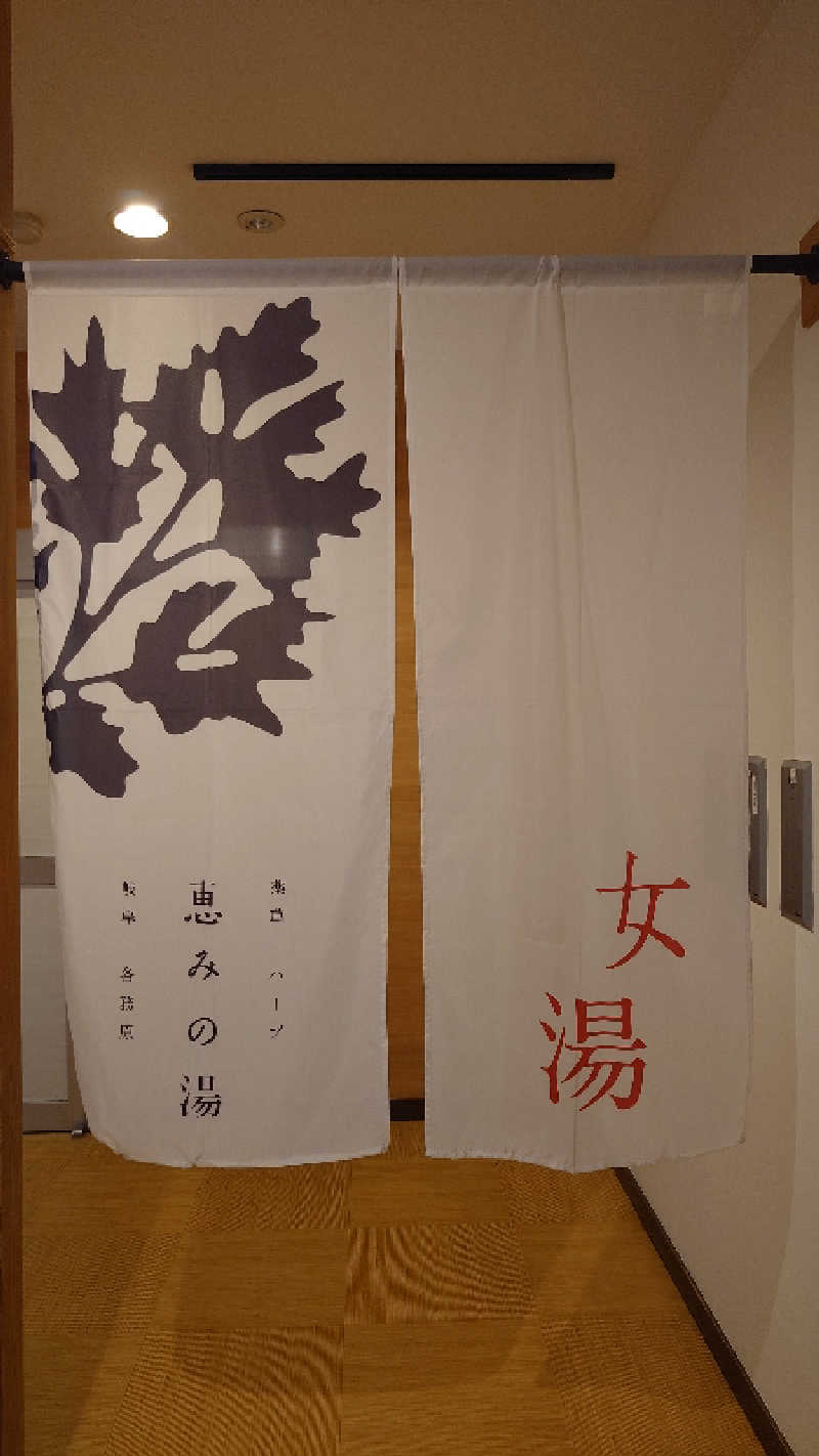 こじかさんの各務原 恵みの湯のサ活写真
