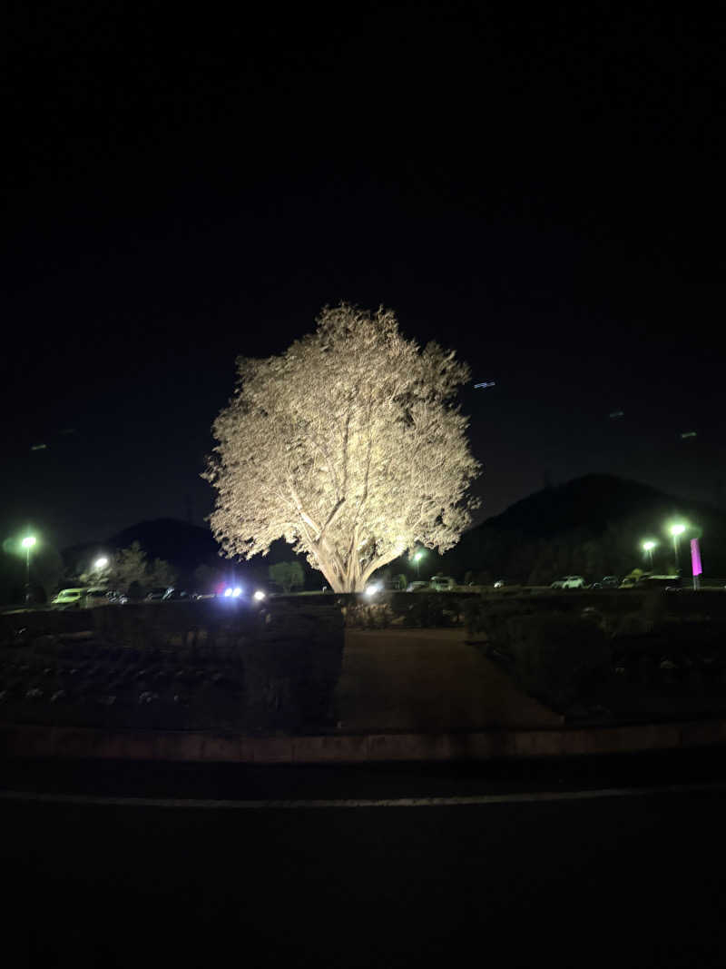 豆腐とワカメさんの白雲谷温泉ゆぴかのサ活写真