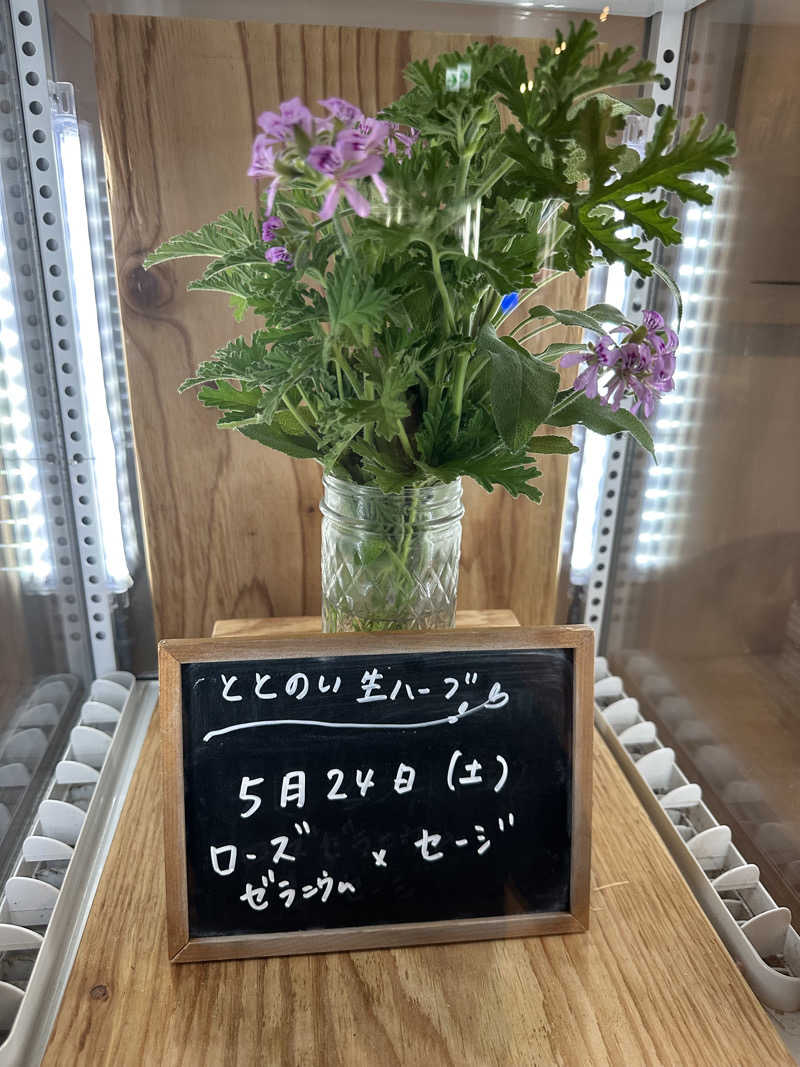 凡丸さんの岐阜各務原 恵みの湯のサ活写真