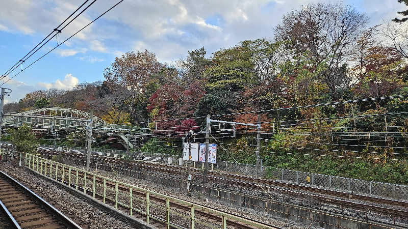 サウナ女子・あやさんのえびす湯のサ活写真