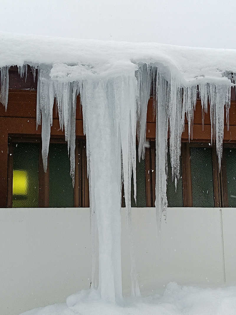 ひなこさんのチロルの湯のサ活写真