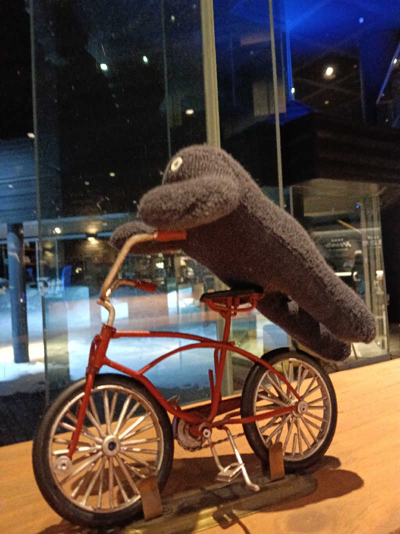 ひなこさんの芦別温泉 おふろcafé 星遊館 (芦別温泉スターライトホテル)のサ活写真