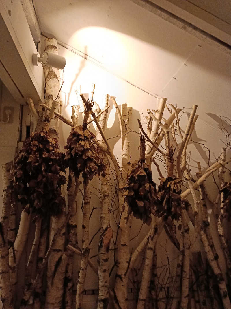 ひなこさんのニュー銀座サウナのサ活写真