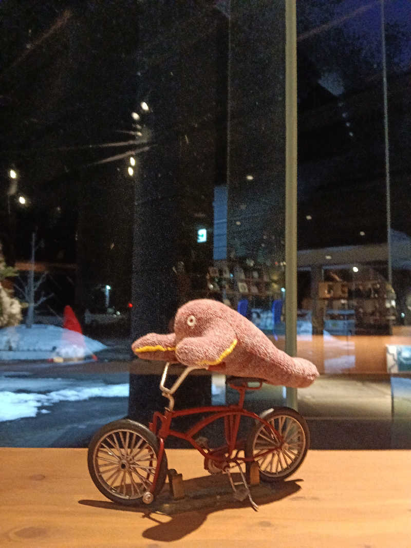 ひなこさんの芦別温泉 おふろcafé 星遊館 (芦別温泉スターライトホテル)のサ活写真