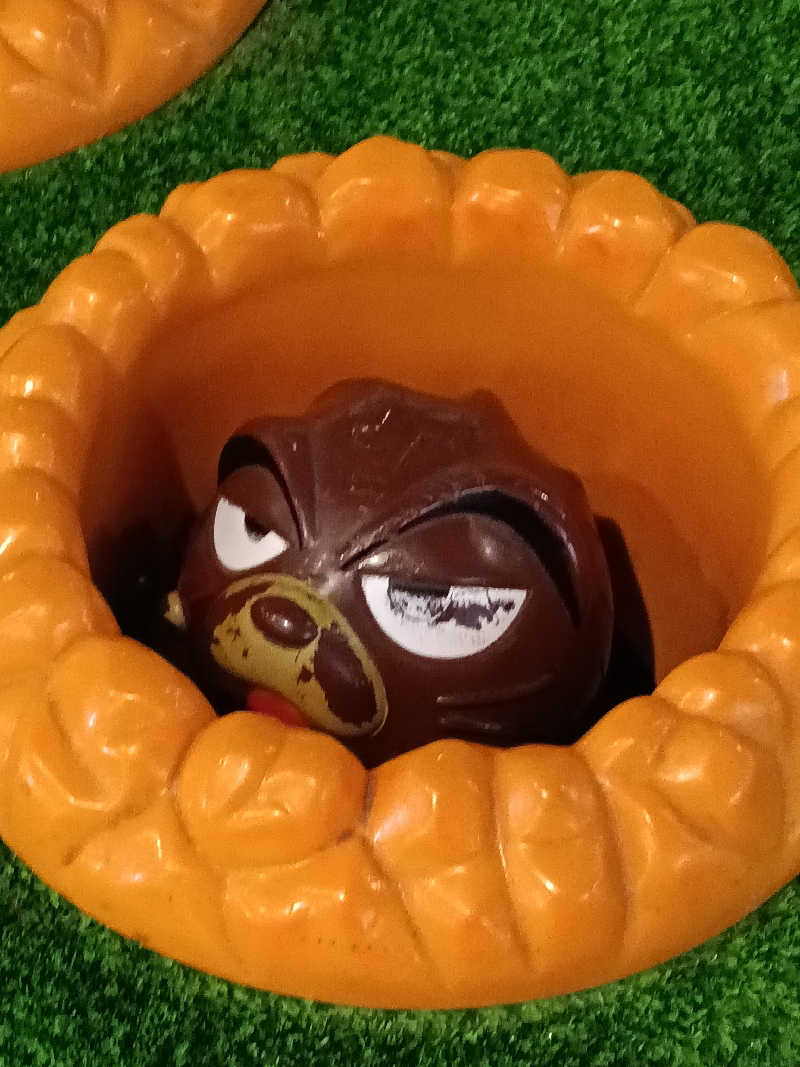 ひなこさんの芦別温泉 おふろcafé 星遊館 (芦別温泉スターライトホテル)のサ活写真