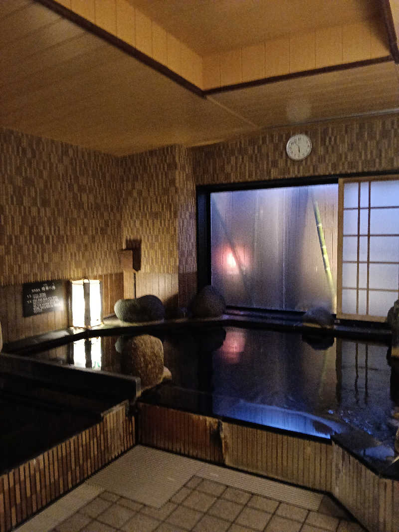 ひなこさんの樽前の湯 ドーミーイン苫小牧のサ活写真