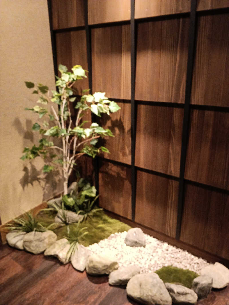 ひなこさんの樽前の湯 ドーミーイン苫小牧のサ活写真