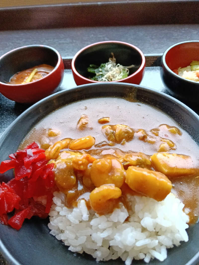 ひなこさんの樽前の湯 ドーミーイン苫小牧のサ活写真