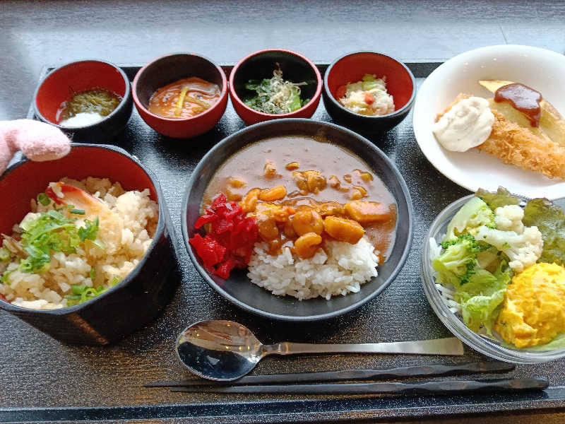 ひなこさんの樽前の湯 ドーミーイン苫小牧のサ活写真