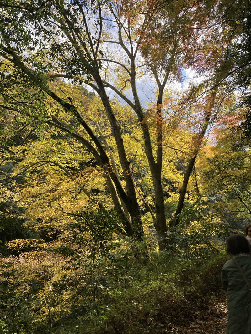 DDさんの天岩戸の湯のサ活写真