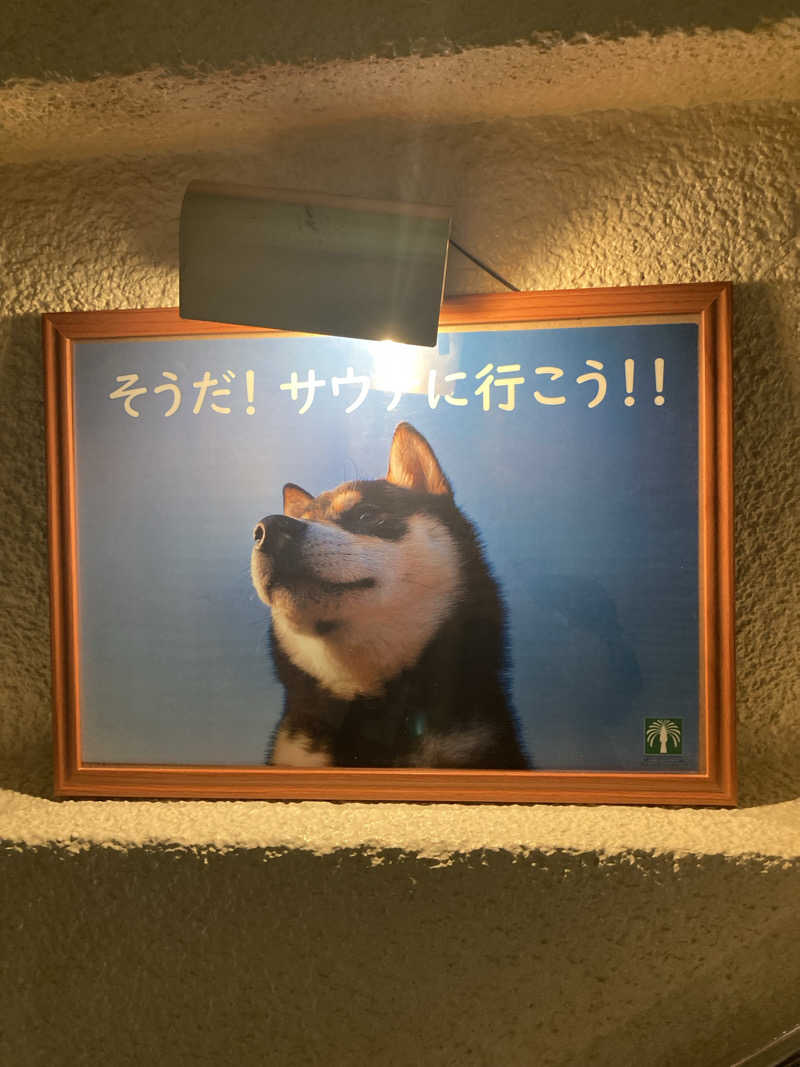 DDさんのグリーンランド 中洲店のサ活写真