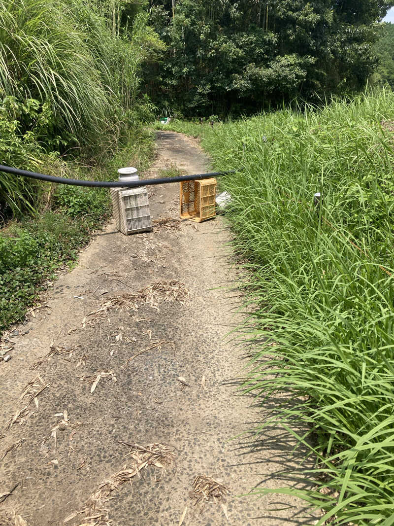DDさんの平山温泉 日帰りスパ フローラのサ活写真