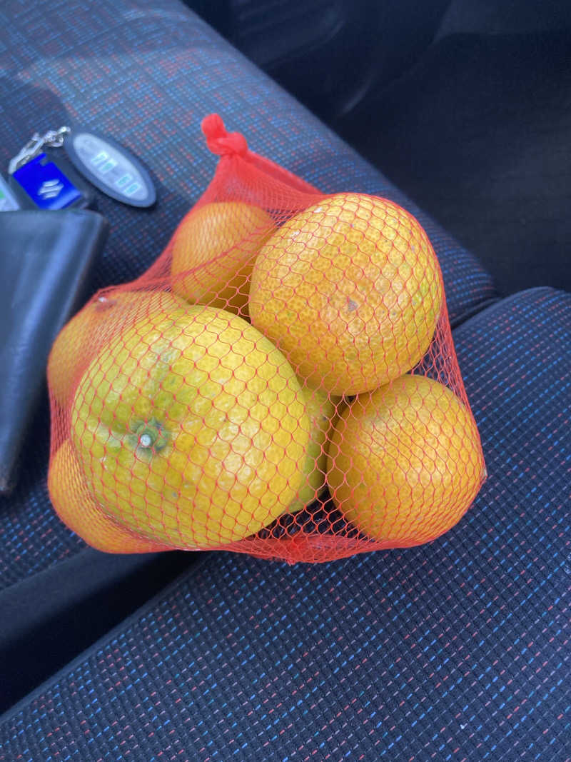 DDさんのあじさいの湯のサ活写真