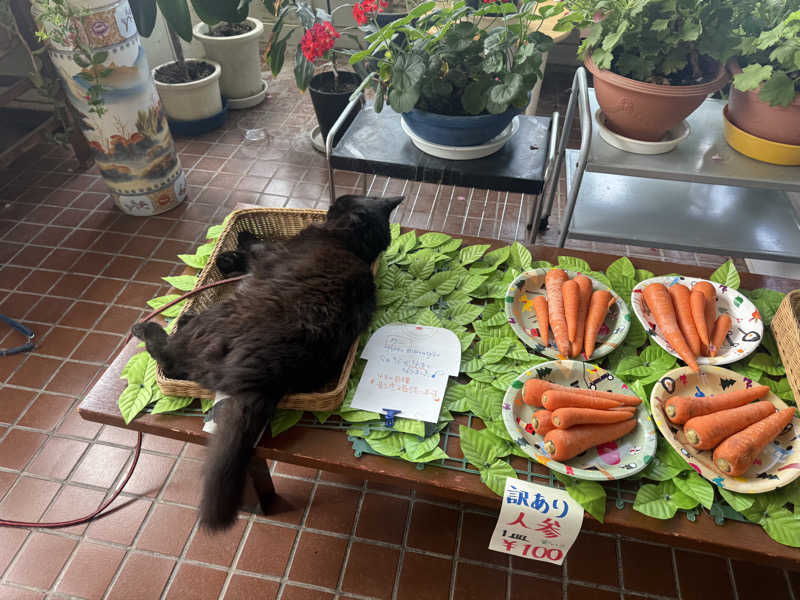 青のすみかさんのポパイ温泉のサ活写真