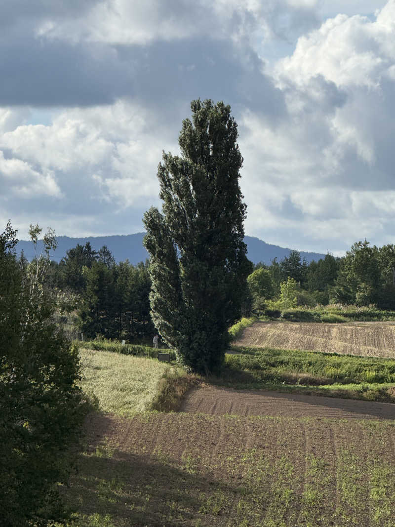 青のすみかさんのキトウシの森きとろんのサ活写真