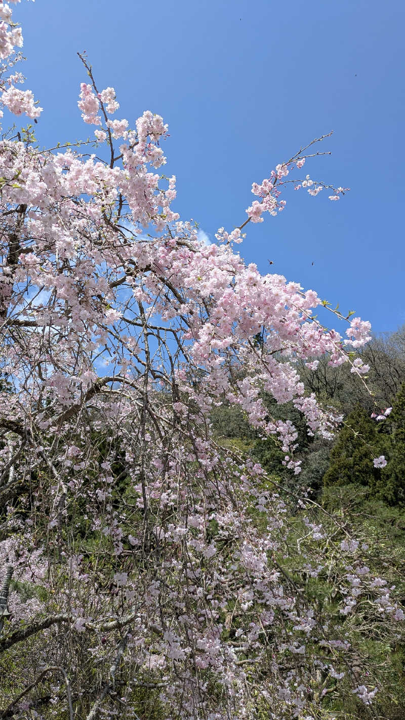 熱波🌿太郎さんの里山健康学校せせらぎの郷のサ活写真
