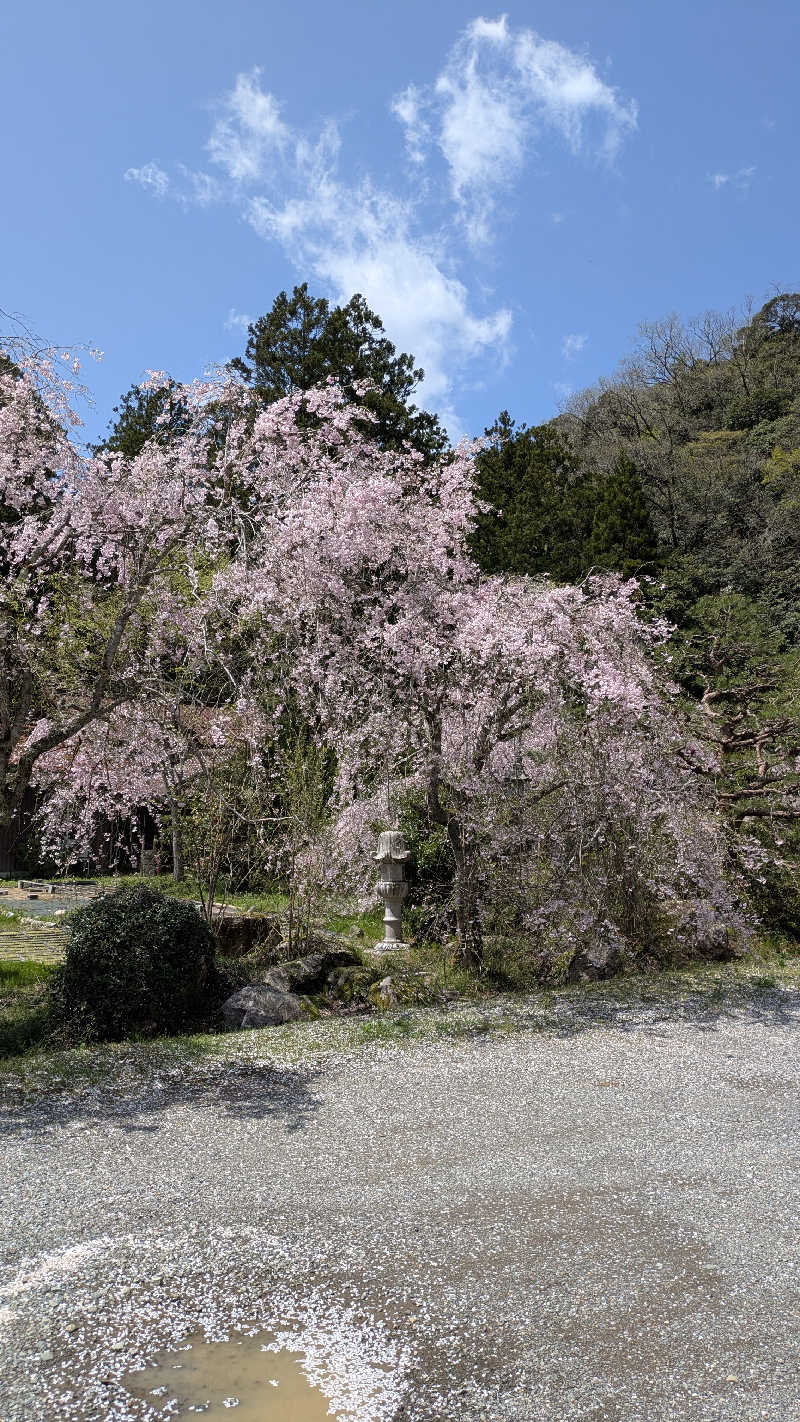 熱波🌿太郎さんの里山健康学校せせらぎの郷のサ活写真