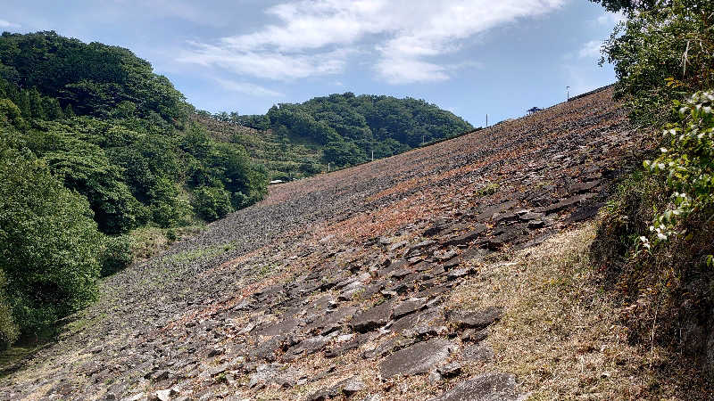 もっちーさんの富士山天然水SPA サウナ鷹の湯のサ活写真