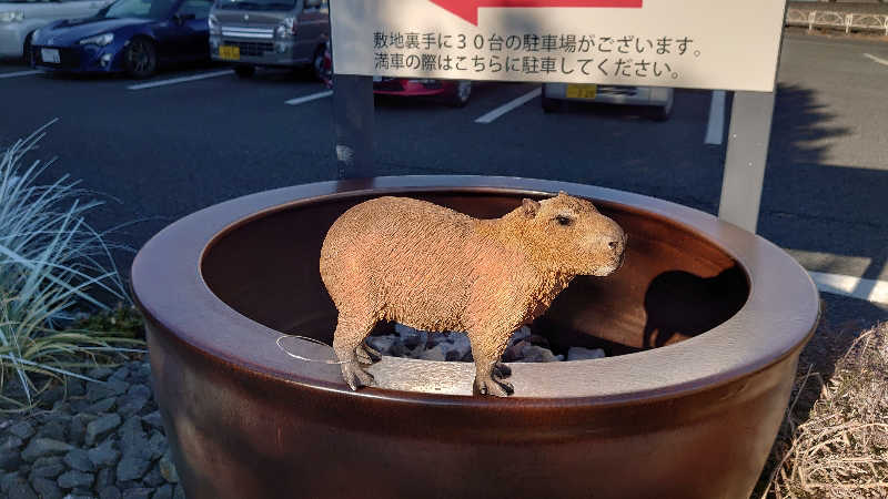 もっちーさんの富士山天然水SPA サウナ鷹の湯のサ活写真