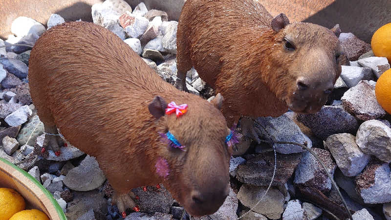 もっちーさんの富士山天然水SPA サウナ鷹の湯のサ活写真