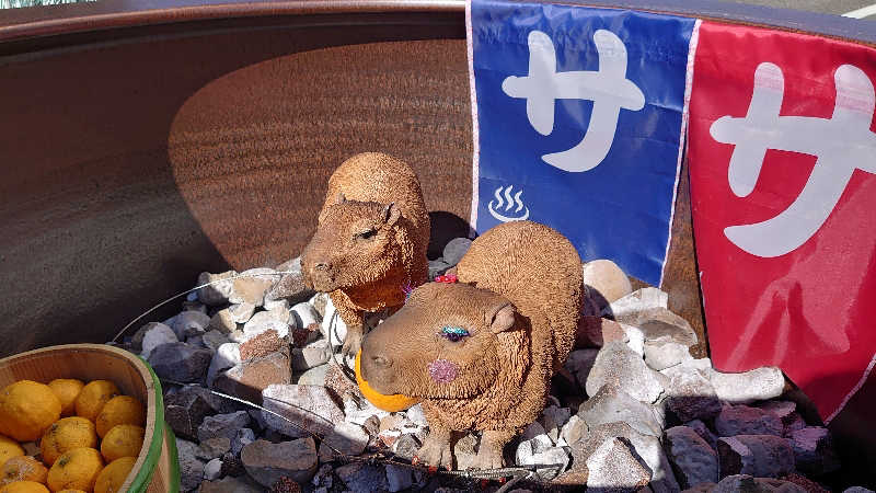 もっちーさんの富士山天然水SPA サウナ鷹の湯のサ活写真