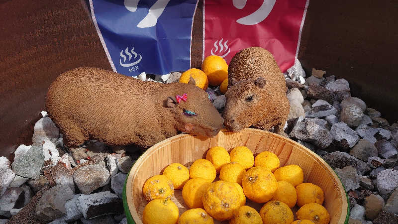 もっちーさんの富士山天然水SPA サウナ鷹の湯のサ活写真