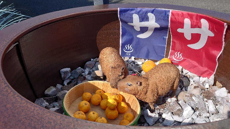 もっちーさんの富士山天然水SPA サウナ鷹の湯のサ活写真