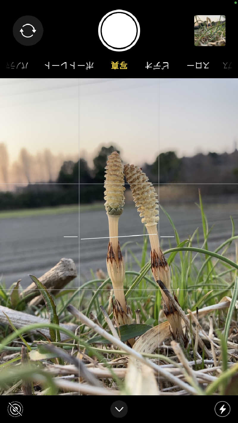 harley papaさんの天然温泉湯庵のサ活写真