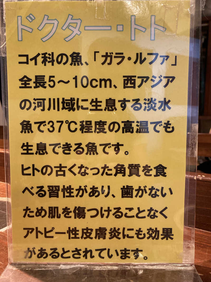 harley papaさんの足柄浪漫館 あしがら湯のサ活写真